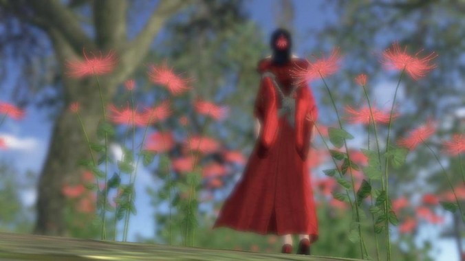 为什么中国红十字会腐败这么严重？